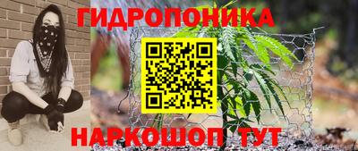 ешки Партизанск