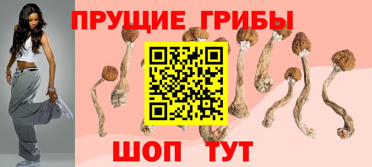 Спасск-Дальний  Псилоцибиновые грибы Psilocybe  Псилоцибиновые грибы прущие грибы  Вход с VPN 