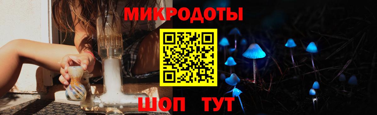 Псилоцибиновые грибы Psilocybine cubensis Спасск-Дальний